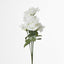 Rose Bush Asstd AB Box of 60 - Pack of 60