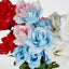 Rose Bush Asstd B Box of 60
