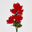 Rose Bush Asstd B Box of 60
