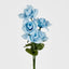 Rose Bush Asstd B Box of 60
