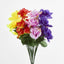 Rose Bush Asstd C Box of 60