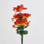 Rose Bush Asstd C Box of 60