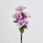 Rose Bush Asstd C Box of 60