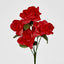 Rose Bush Asstd E Box of 60 - Pack of 60