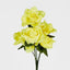 Rose Bush Asstd E Box of 60 - Pack of 60