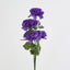 Carnation Bush Asstd Box of 60
