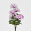 Carnation Bush B Asstd Box of 60 - Pack of 60