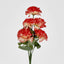 Carnation Bush B Asstd Box of 60 - Pack of 60