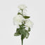 Carnation Bush B Asstd Box of 60 - Pack of 60