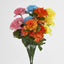 Carnation Bush C Asstd Box of 60 - Pack of 60