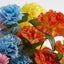Carnation Bush C Asstd Box of 60 - Pack of 60