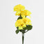Carnation Bush C Asstd Box of 60 - Pack of 60