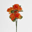 Carnation Bush C Asstd Box of 60 - Pack of 60