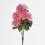Carnation Bush C Asstd Box of 60 - Pack of 60