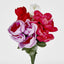 Peony Bush Asstd Box of 60 - Pack of 60