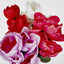 Peony Bush Asstd Box of 60 - Pack of 60