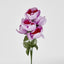 Peony Bush Asstd Box of 60 - Pack of 60