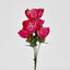 Peony Bush Asstd Box of 60 - Pack of 60