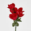 Peony Bush Asstd Box of 60 - Pack of 60