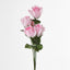 Rosebud Bush Asstd Box of 60 - Pack of 60