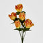 Rosebud Bush Asstd C Box of 60 - Pack of 60