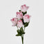 Rosebud Bush Asstd C Box of 60 - Pack of 60