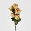 Rosebud Bush Asstd C Box of 60 - Pack of 60