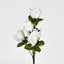 Rosebud Bush Asstd C Box of 60 - Pack of 60