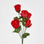 Rosebud Bush Asstd E Box of 60 - Pack of 60