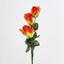 Rosebud Bush Asstd F Box of 60 - Pack of 60