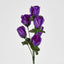 Rosebud Bush Multi Box of 60 - Pack of 60