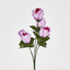 Rosebud Bush Multi Box of 60 - Pack of 60