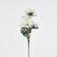 Gerbera Bush Light Asstd Box of 60 - Pack of 60