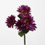 Gerbera Bush Dark Box of 60 - Pack of 60