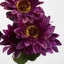 Gerbera Bush Dark Box of 60 - Pack of 60