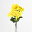 Dahlia Bush 50cm Asstd Box Qty Only