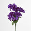 Dahlia Bush 50cm Asstd Box Qty Only