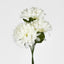 Chrysanthemum Bush 3 Colours Box of 60 - Pack of 60