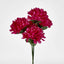 Chrysanthemum Bush 4 Colours Box of 60