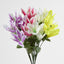 Tiger Lily Bush 4 Colours Box of 60 - Pack of 60