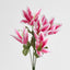 Tiger Lily Bush 4 Colours Box of 60 - Pack of 60