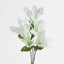 Tiger Lily Bush 4 Colours Box of 60 - Pack of 60