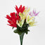 Tiger Lily Bush Asstd Colours Box of 60