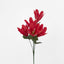 Tiger Lily Bush Asstd Colours Box of 60