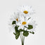 Sunflower Gerbera Daisy Bush Asstd Box of 60
