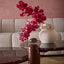 Red Phaelonopsis Orchid