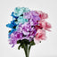 Dahlia Bush 50cm Asstd Min 60pcs