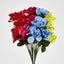 Dahlia Bush Asstd Sold in Box Qty Only