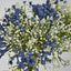 Blue Gyp Bush Bouquet