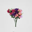 Rose Bush Asstd Box of 60